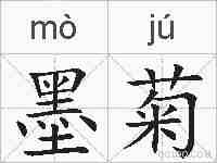 墨菊的拼音