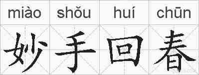 妙手回春的拼音