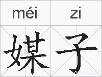 媒子的拼音