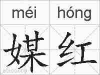 媒红的拼音