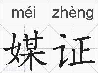 媒证的拼音