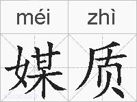 媒质的拼音