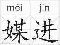 媒进的拼音