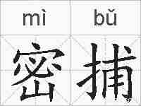 密捕的拼音