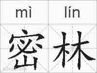 密林的拼音