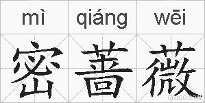 密蔷薇的拼音