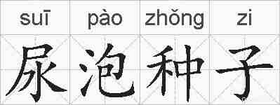 尿泡种子的拼音