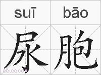 尿胞的拼音
