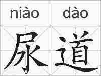 尿道的拼音