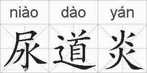 尿道炎的拼音