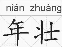 年壮的拼音