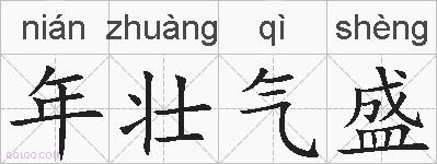 年壮气盛的拼音