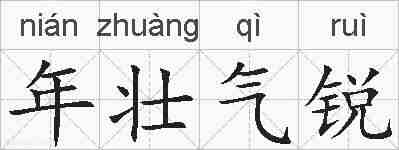 年壮气锐的拼音