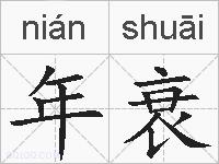 年衰的拼音