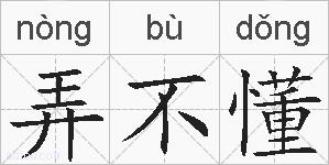弄不懂的拼音