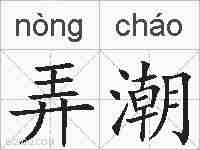 弄潮的拼音