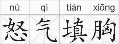 怒气填胸的拼音
