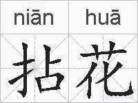 拈花的拼音