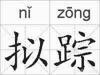 拟踪的拼音