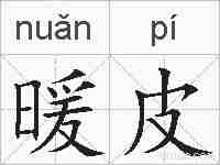暖皮的拼音