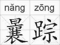 曩踪的拼音