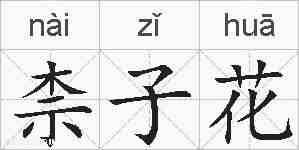 柰子花的拼音
