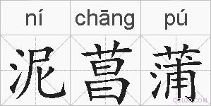 泥菖蒲的拼音