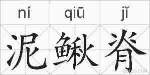 泥鳅脊的拼音