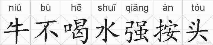牛不喝水强按头的拼音