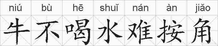 牛不喝水难按角的拼音