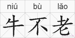 牛不老的拼音