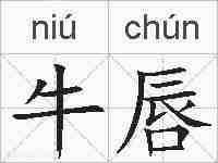 牛唇的拼音