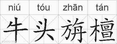 牛头旃檀的拼音