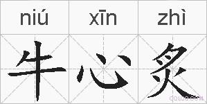 牛心炙的拼音