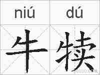 牛犊的拼音