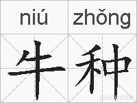 牛种的拼音