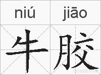 牛胶的拼音