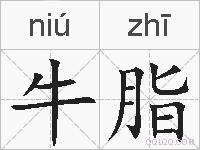 牛脂的拼音