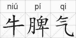 牛脾气的拼音