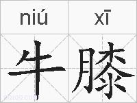 牛膝的拼音