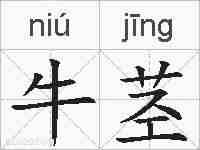 牛茎的拼音