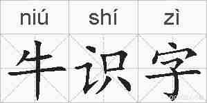 牛识字的拼音
