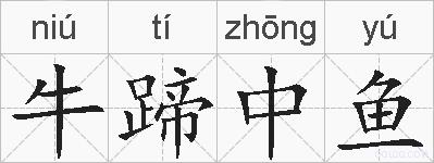 牛蹄中鱼的拼音