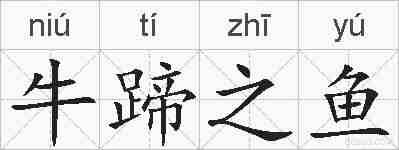 牛蹄之鱼的拼音