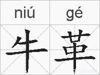 牛革的拼音