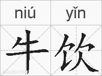 牛饮的拼音