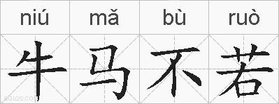牛马不若的拼音
