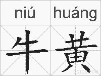 牛黄的拼音