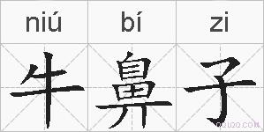 牛鼻子的拼音