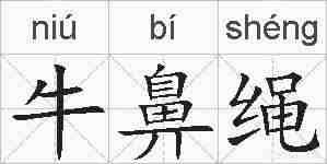 牛鼻绳的拼音